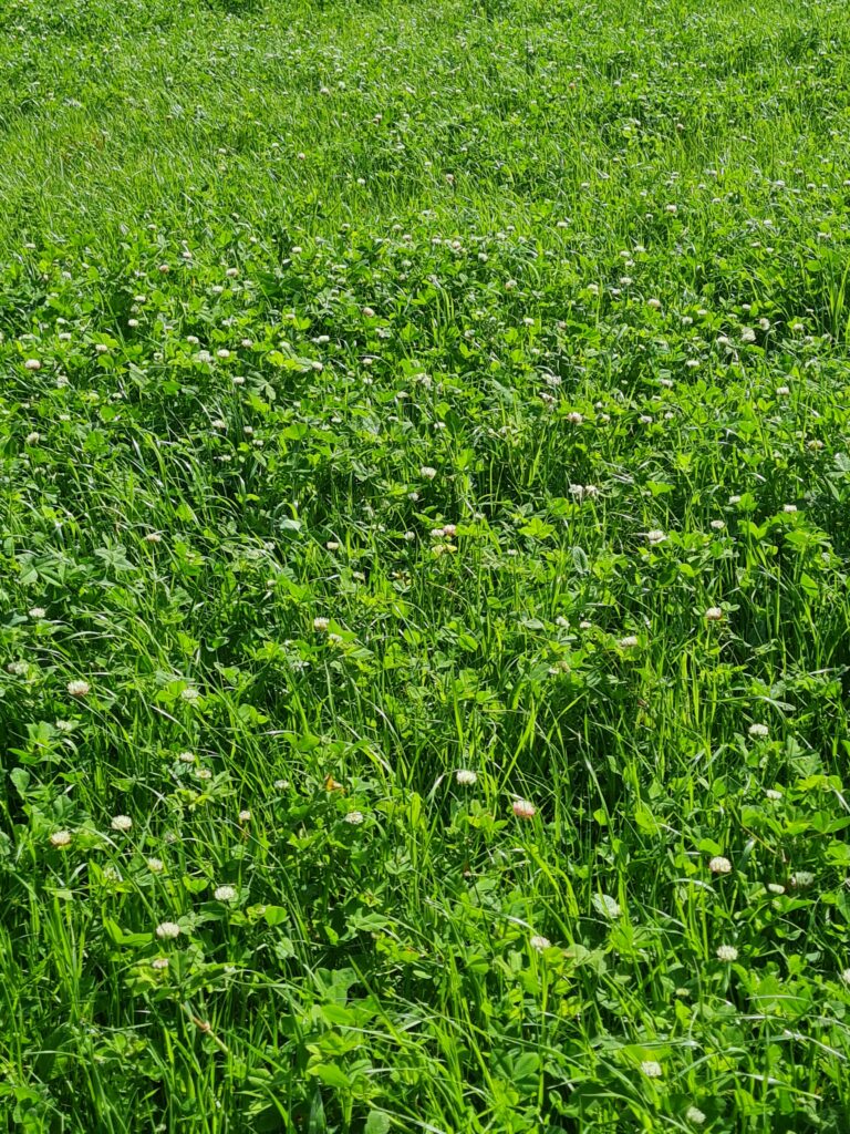 soil health solutions