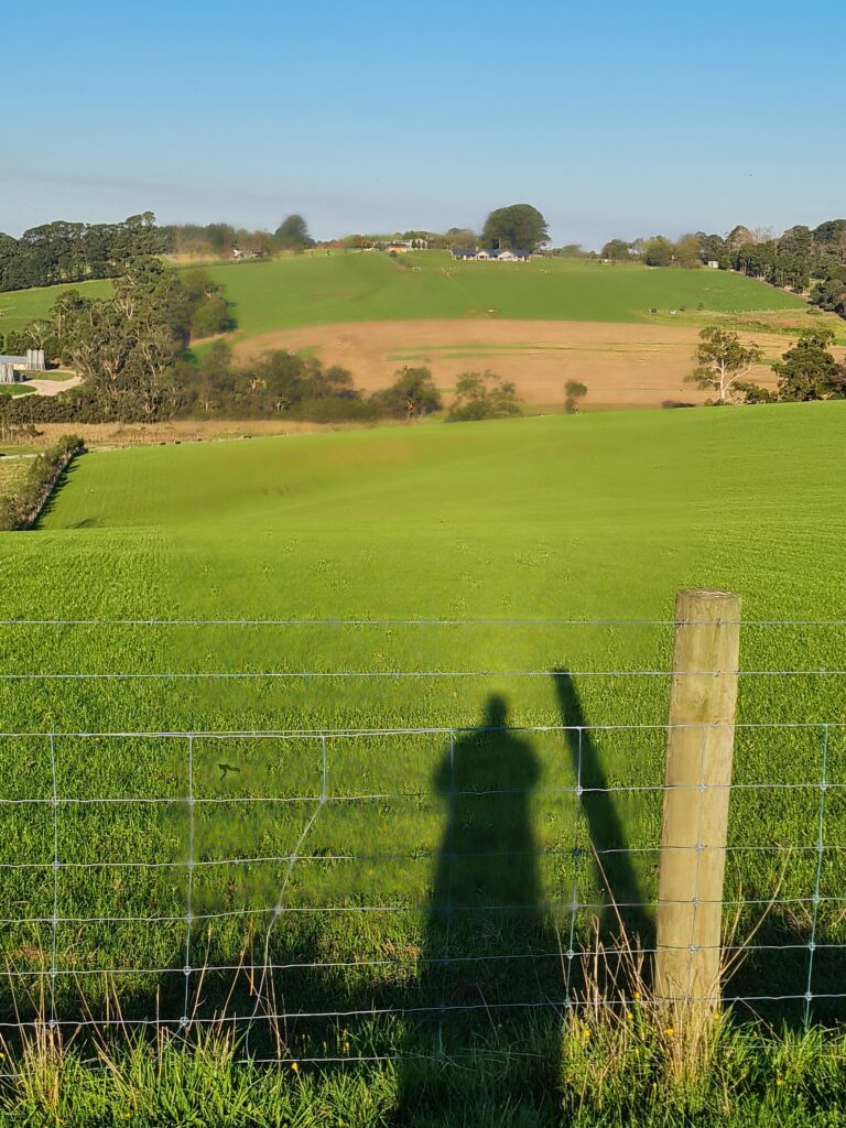 soil grazing services