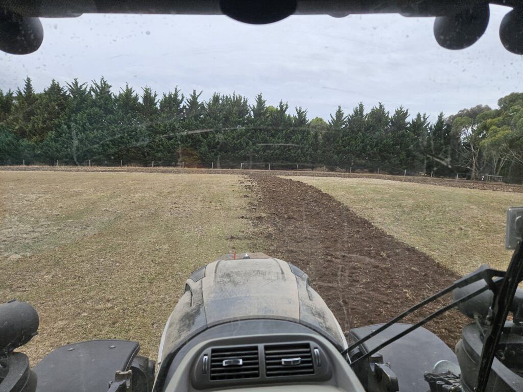 forage solutions