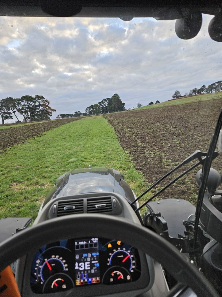 pasture for grazing