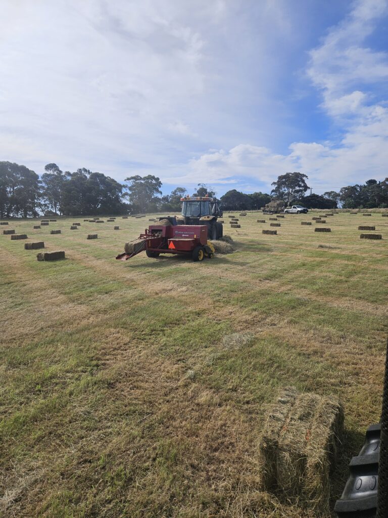 fence installation contractor