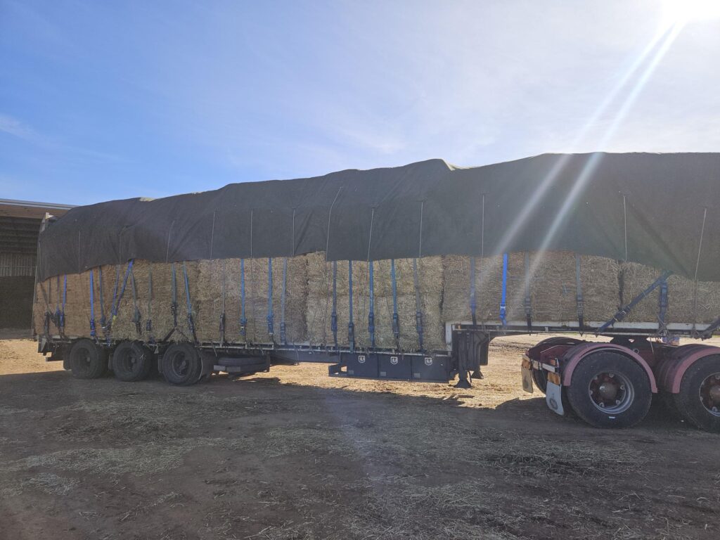 truck full of silage and hay