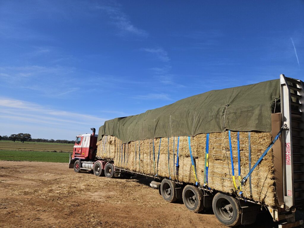 silage hay transport