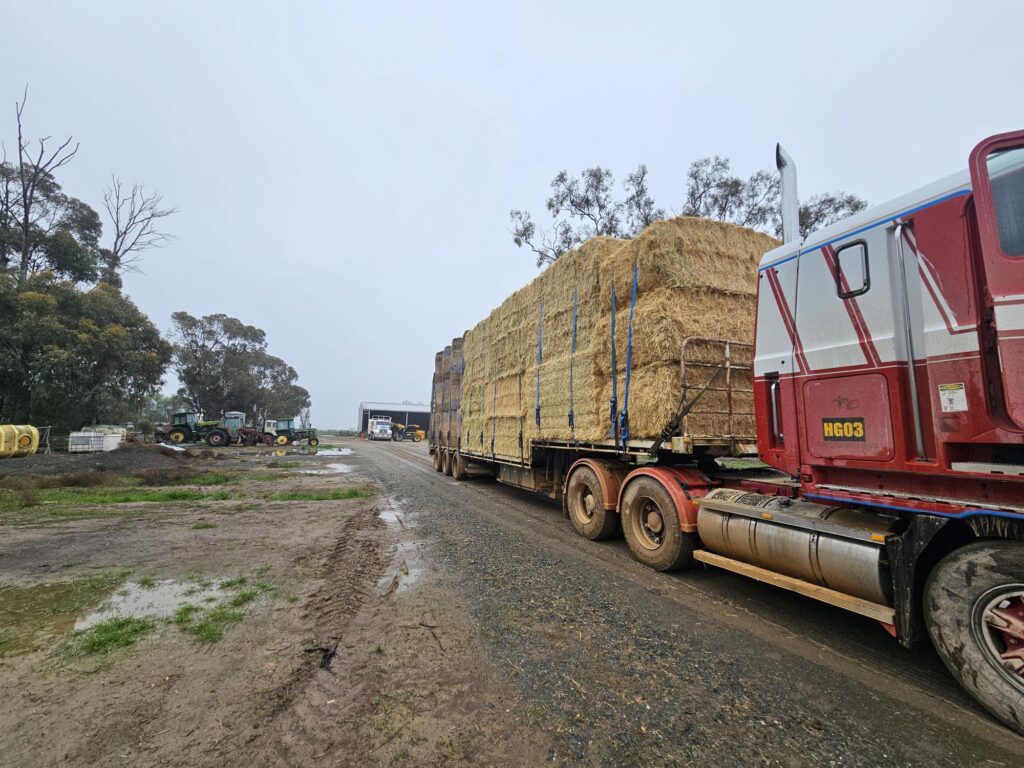 hay and silage transport