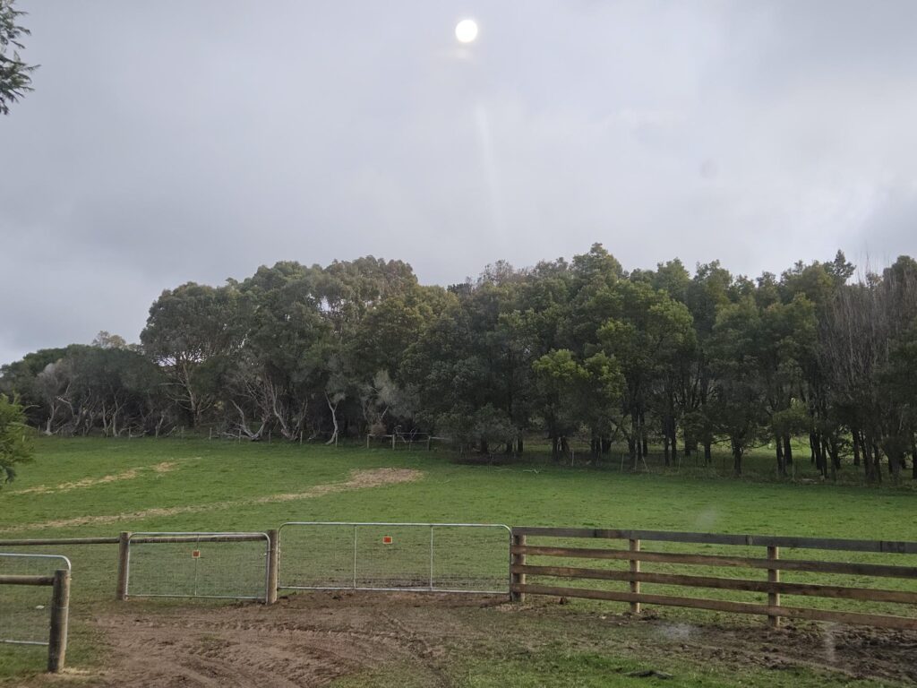 Fencing Within Agricultural Land