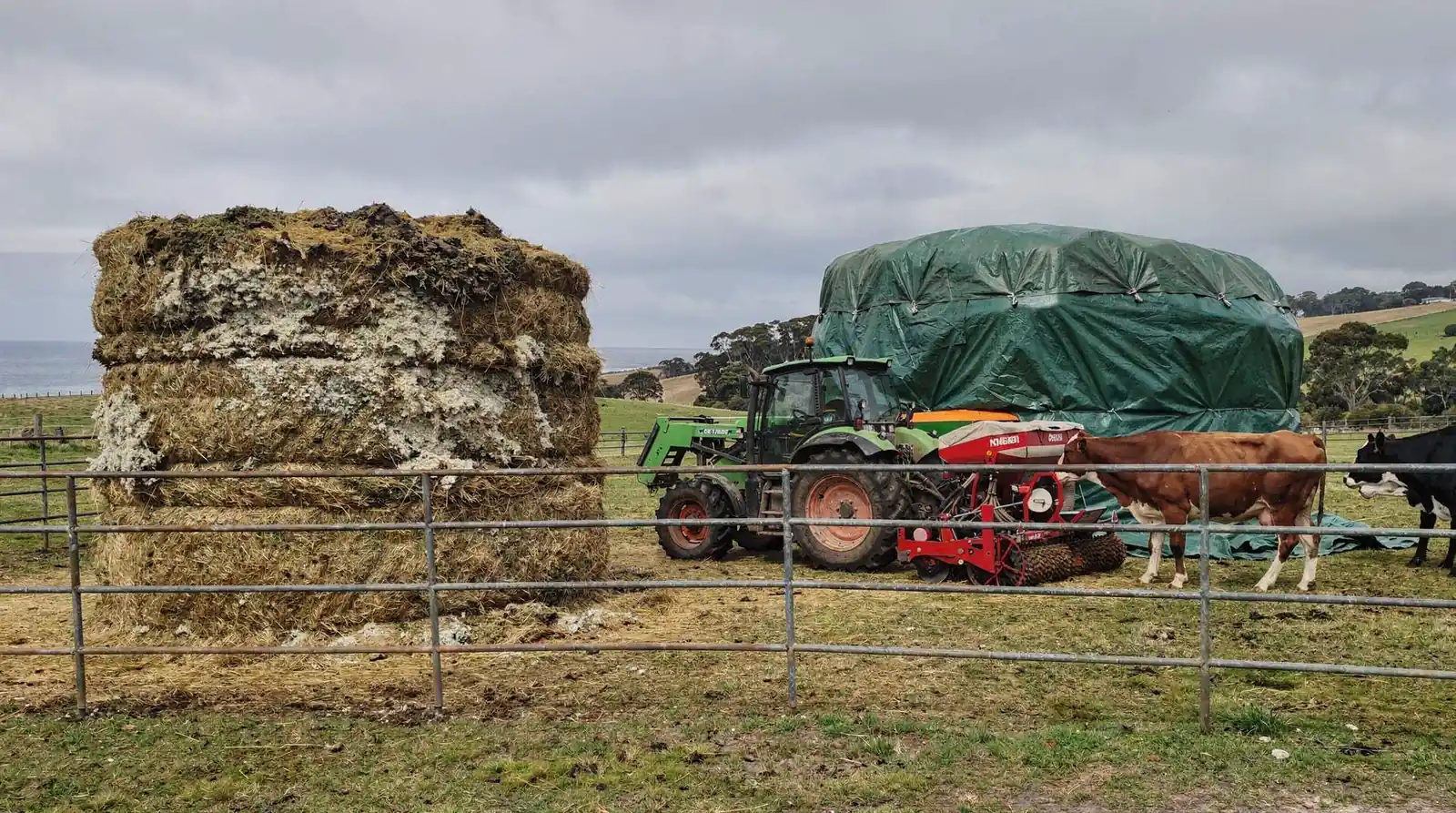 Silage is especially prone to spoilage when it is not managed properly during storage.; Silage