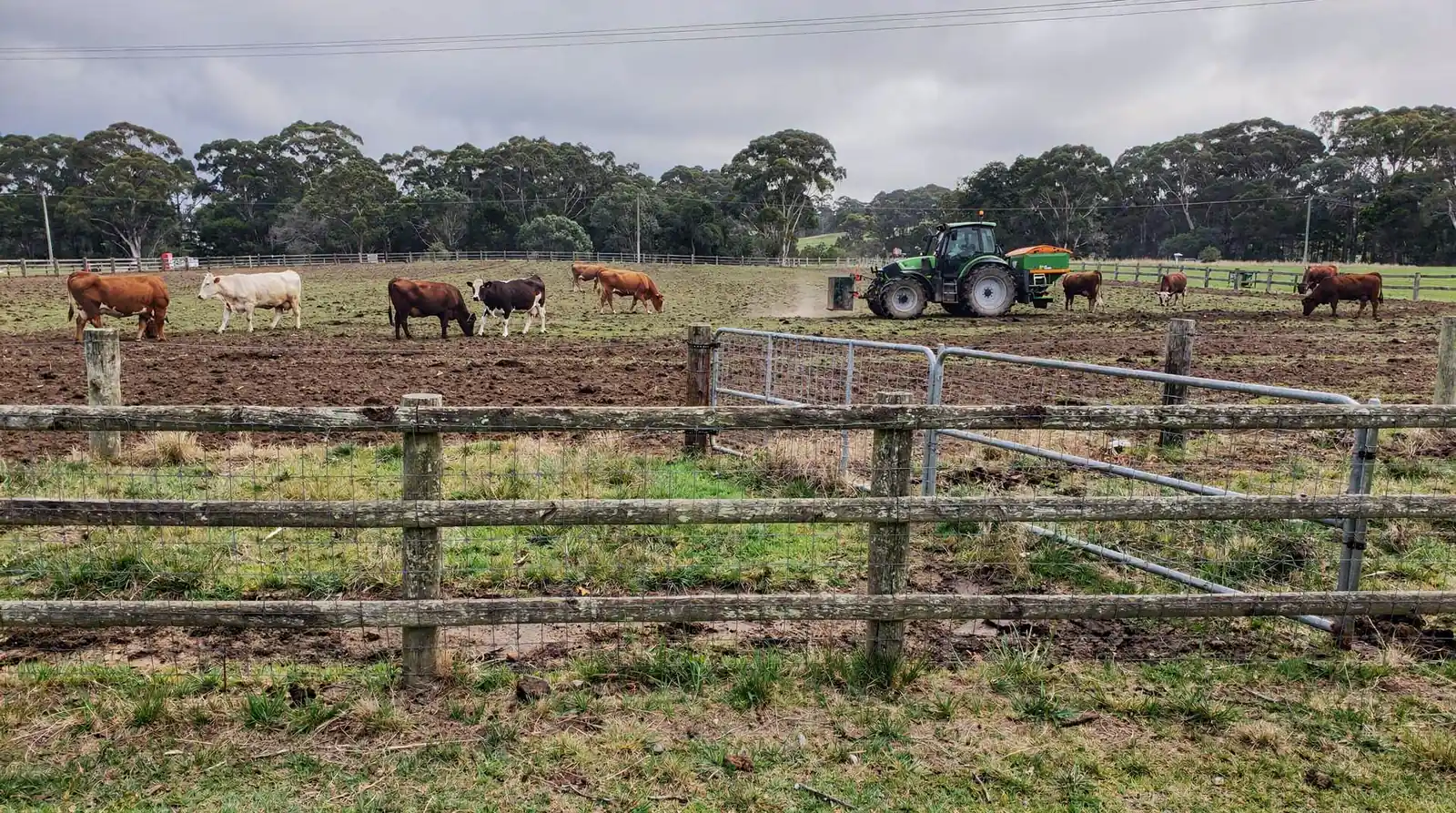 A dependable Victorian contractor should offer fencing alongside related farm services such as pasture renovation